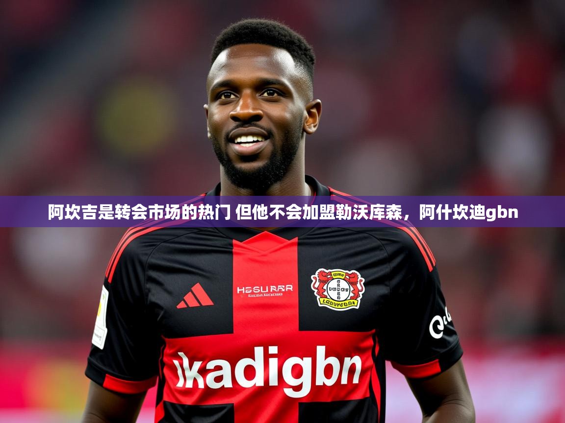 2025九游娱乐官方注册平台阿坎吉是转会市场的热门 但他不会加盟勒沃库森,阿什坎迪gbn 第2张