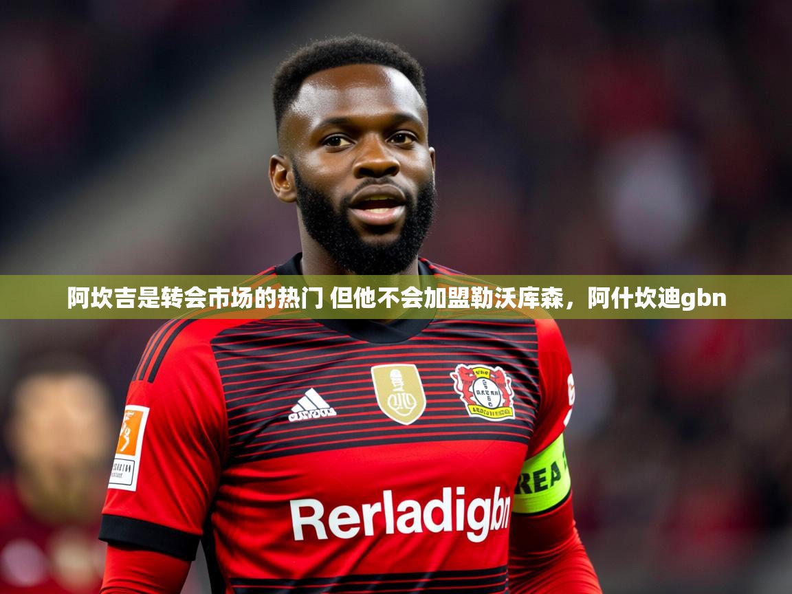 2025九游娱乐官方注册平台阿坎吉是转会市场的热门 但他不会加盟勒沃库森,阿什坎迪gbn 第3张