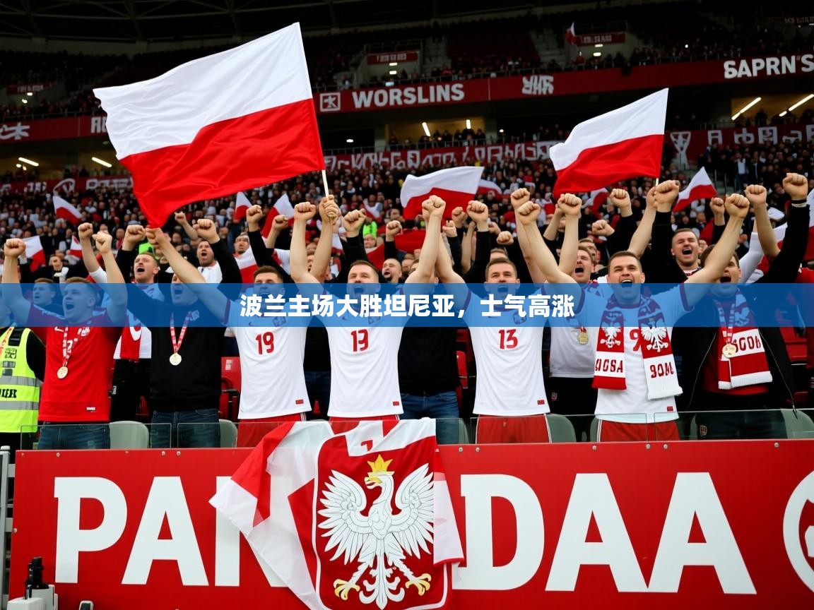 2026九游娱乐网站体验棒波兰主场大胜坦尼亚，士气高涨