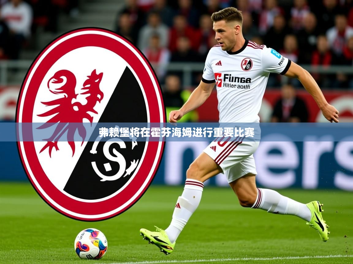 2026九游娱乐app弗赖堡将在霍芬海姆进行重要比赛